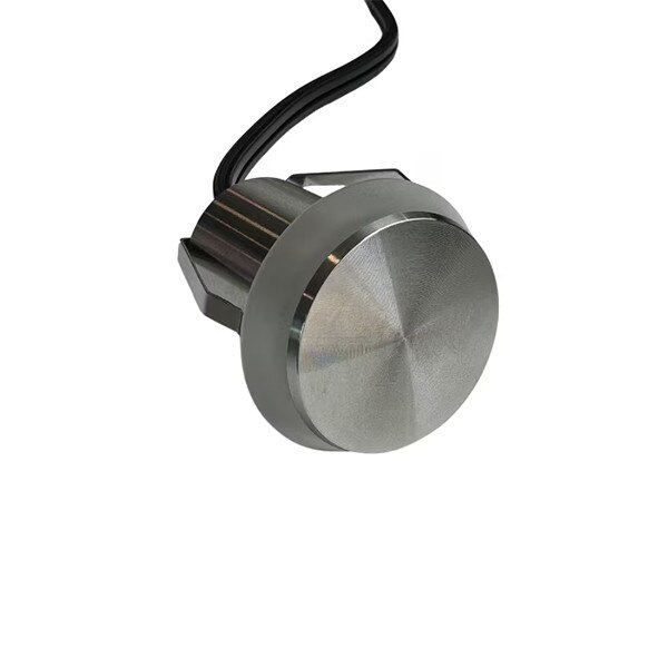 Eclipse recessed light
